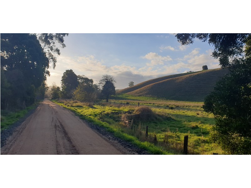985 Ruby-Arawata Road, Ruby VIC 3953