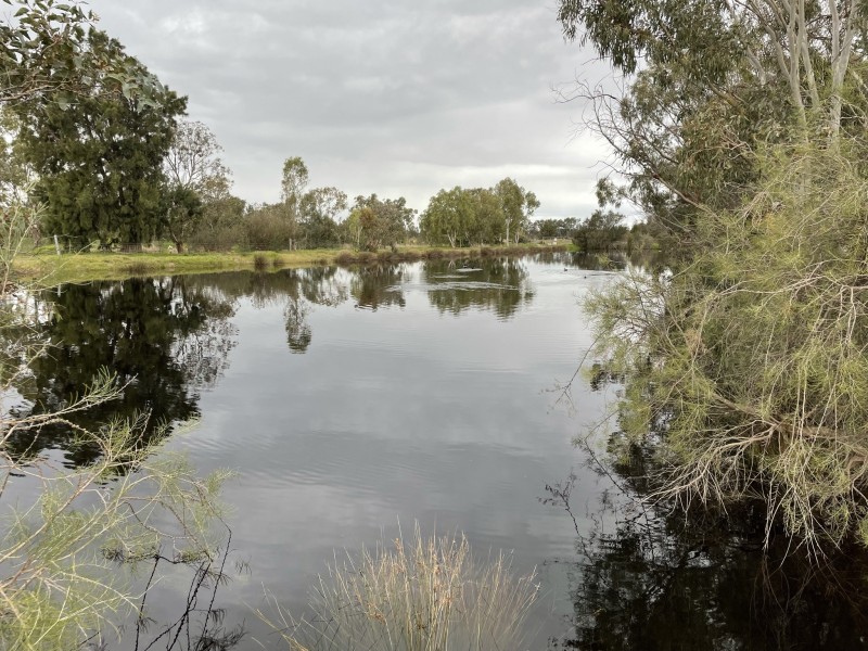 56 Pug Road, Baldivis WA 6171