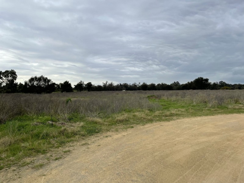 56 Pug Road, Baldivis WA 6171