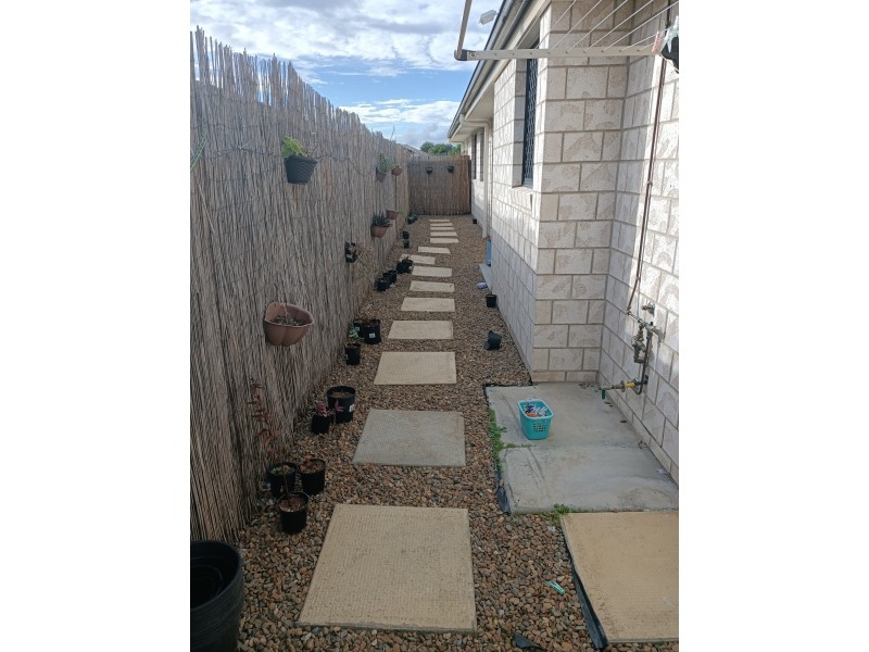 10 Kingsburgh Street, Raceview QLD 4305