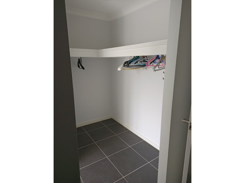 10 Kingsburgh Street, Raceview QLD 4305