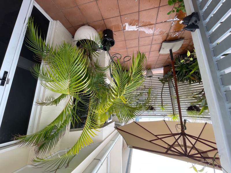 137 St Pauls Terrace, Spring Hill QLD 4000