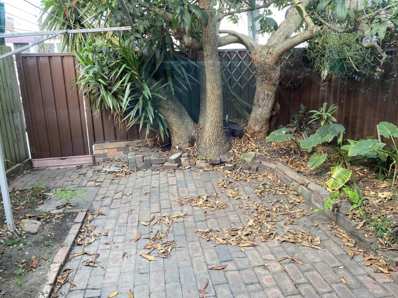 12 Pearl Street, Newtown NSW 2042