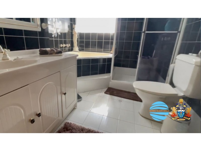 22A Carrisbrook Avenue, Punchbowl NSW 2196