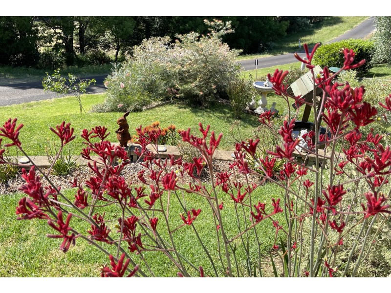 14 Gannon Street, Mount Mee QLD 4521