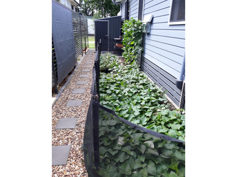 Landsborough QLD 4550