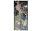 Loganlea QLD 4131