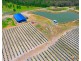 158 McGrath Road, Caboolture QLD 4510