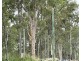 1509-1511 Chambers Flat Road, Chambers Flat QLD 4133