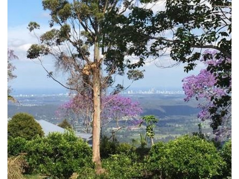 17-21 Cliff Way, Tamborine Mountain QLD 4272