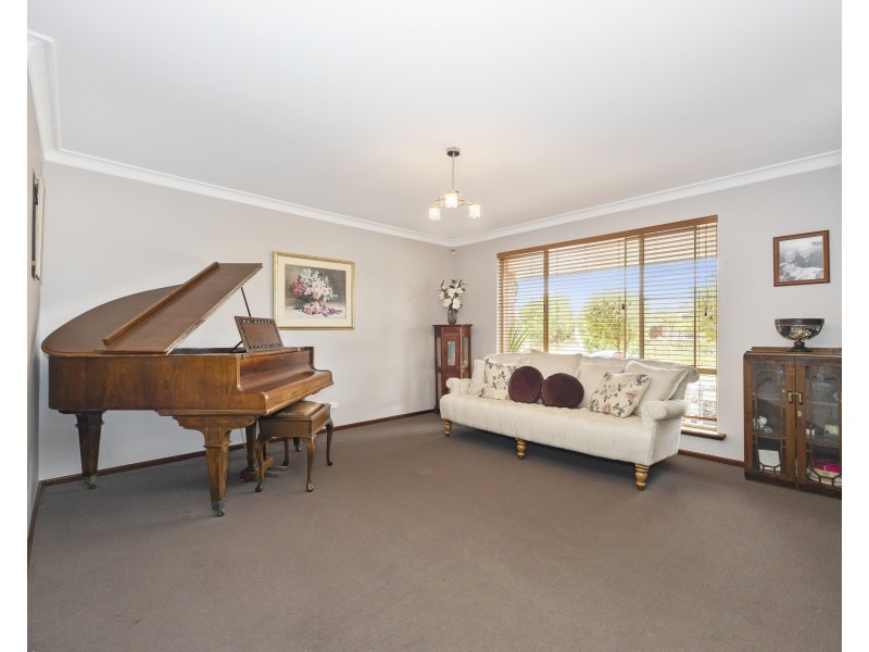 13 Tipuana Place, Thornlie WA 6108