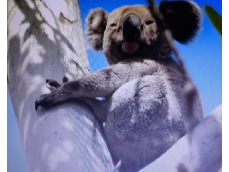 101/120 Whitman Road, Cedar Vale QLD 4285