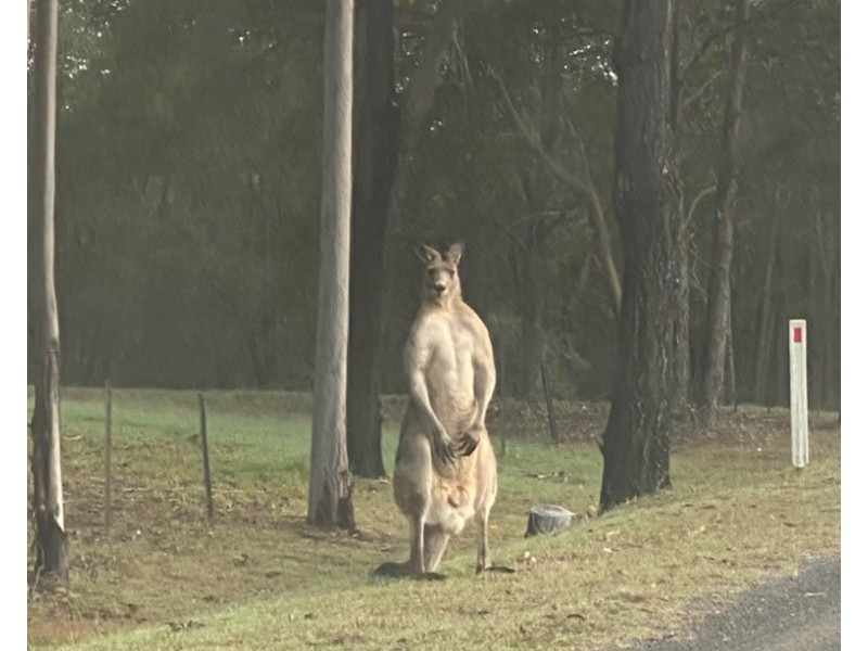 101/120 Whitman Road, Cedar Vale QLD 4285