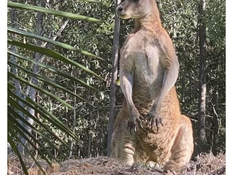 101/120 Whitman Road, Cedar Vale QLD 4285