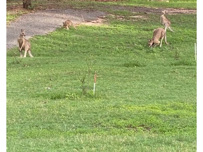 101/120 Whitman Road, Cedar Vale QLD 4285