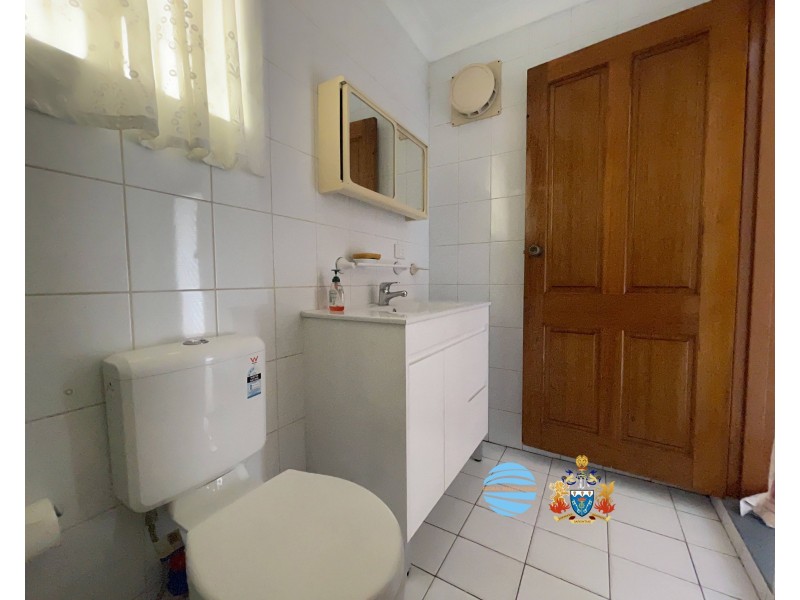 22A Carrisbrook Avenue, Punchbowl NSW 2196