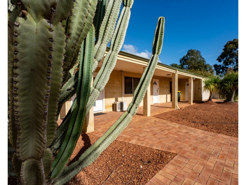336 Padbury Avenue, Herne Hill WA 6056