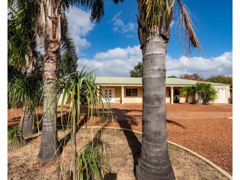 336 Padbury Avenue, Herne Hill WA 6056