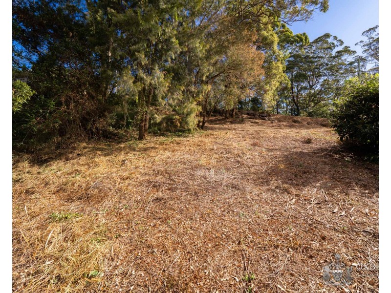 151 Guanaba Road, Tamborine Mountain QLD 4272