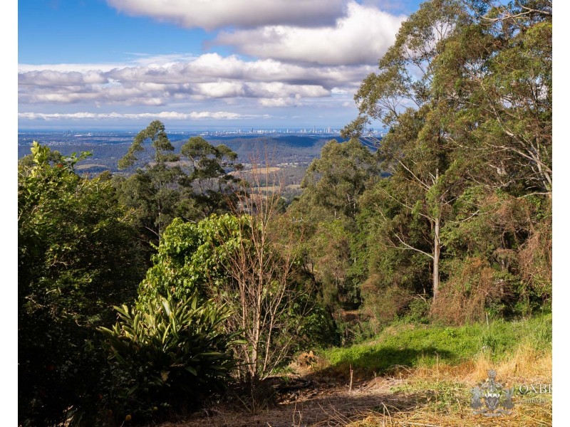 151 Guanaba Road, Tamborine Mountain QLD 4272