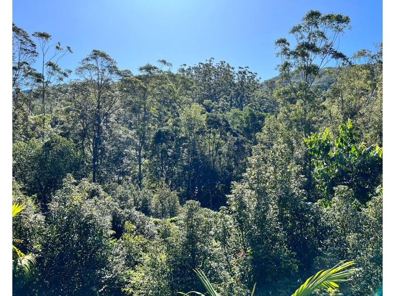 1/1201 Main Arm Road, Upper Main Arm NSW 2482