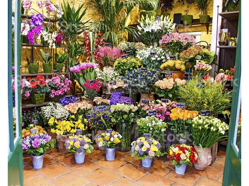 Endeavour Hills VIC 3802