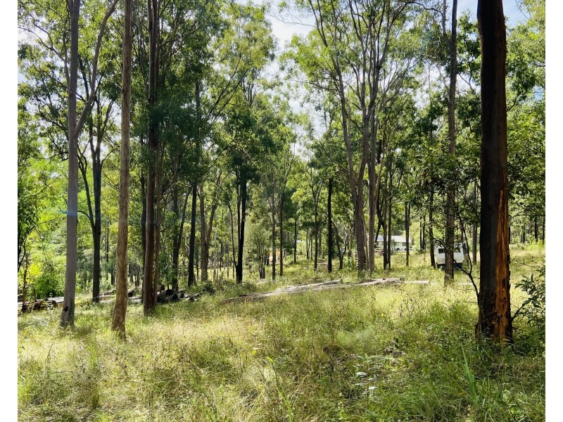 49 Trotter Road, Glenwood QLD 4570