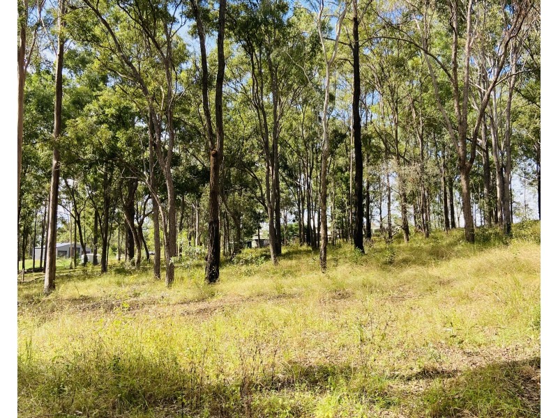 49 Trotter Road, Glenwood QLD 4570