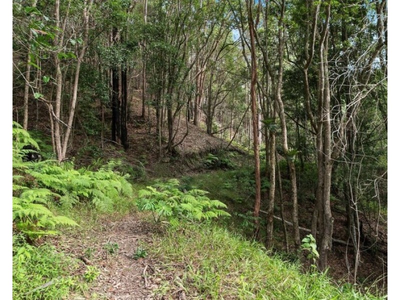 2/1201 Main Arm Road, Upper Main Arm NSW 2482