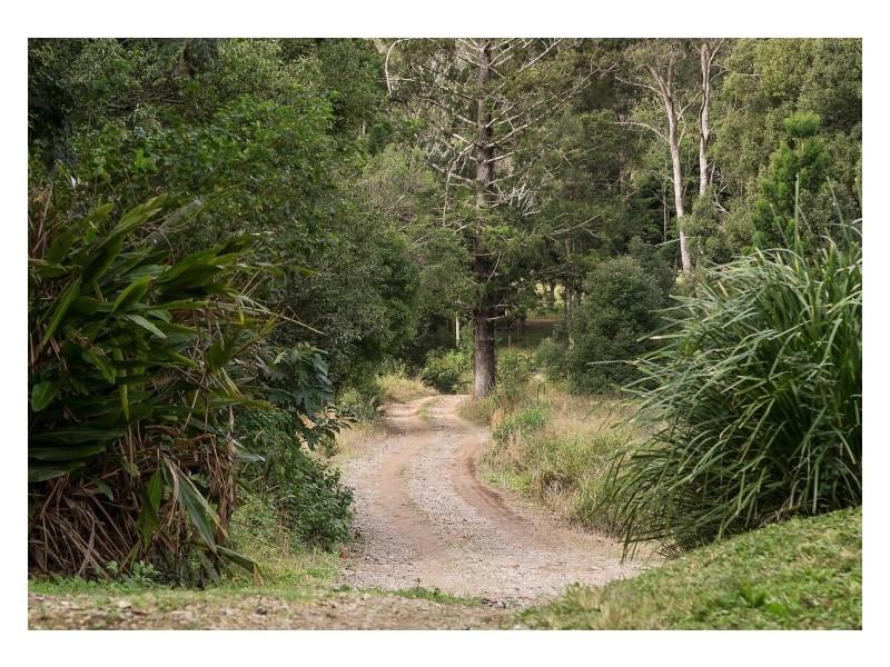 3/1201 Main Arm Road, Upper Main Arm NSW 2482