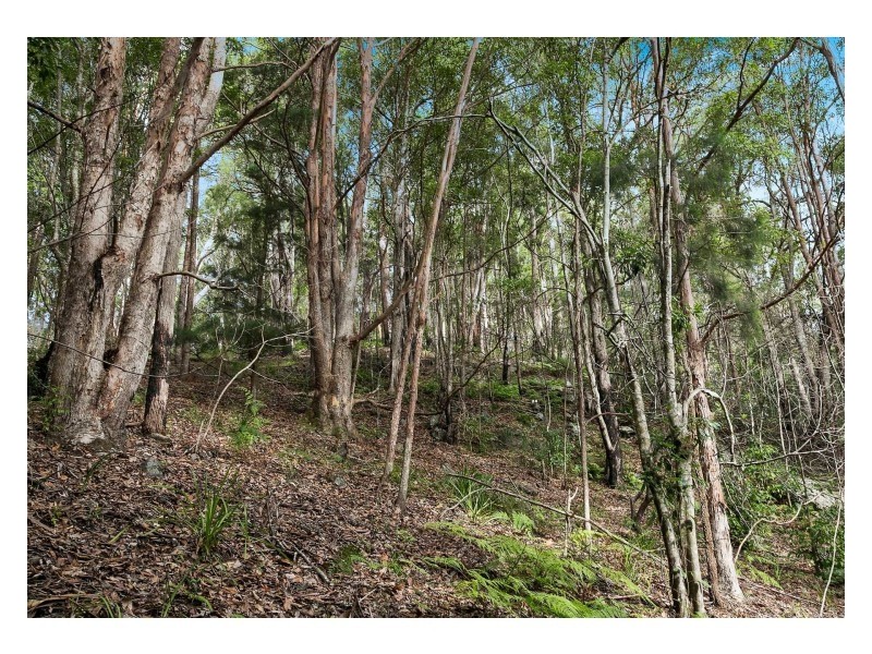 3/1201 Main Arm Road, Upper Main Arm NSW 2482