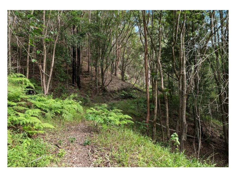 3/1201 Main Arm Road, Upper Main Arm NSW 2482