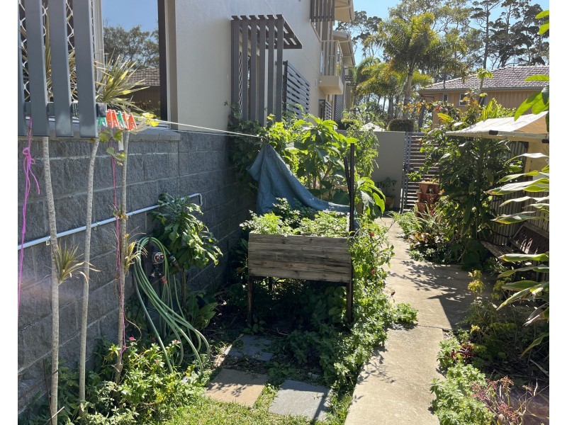 4/328 Esplanade, Scarness QLD 4655