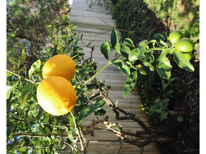 86 Muir Street, Labrador QLD 4215