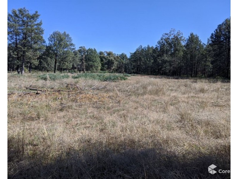 168 Namoi Street, Baradine NSW 2396