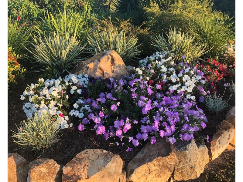 31 Alma Court, Villeneuve QLD 4514