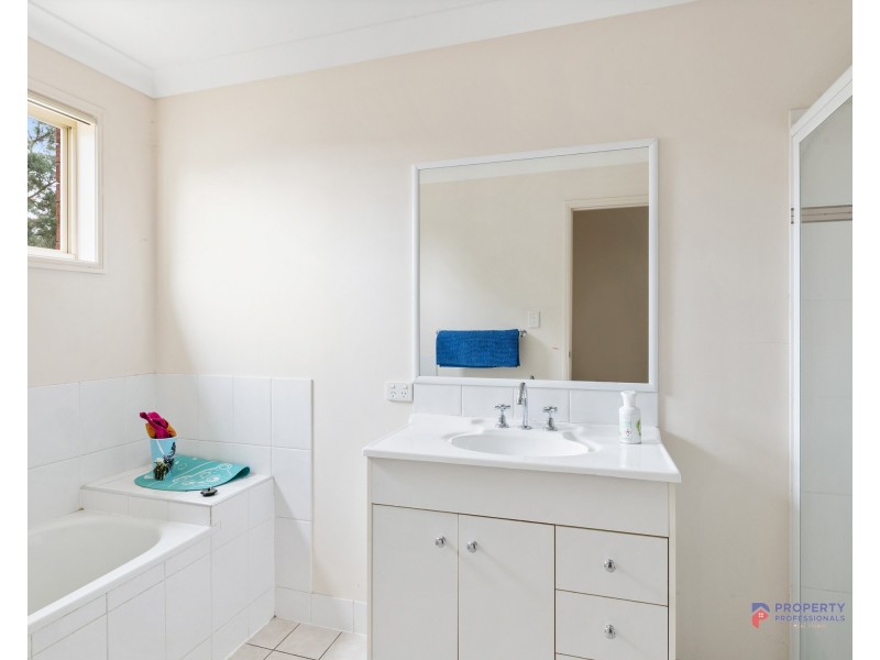 17 Mair Drive, Redbank QLD 4301