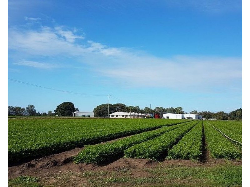 102 Carmichael Drive, Adare QLD 4343