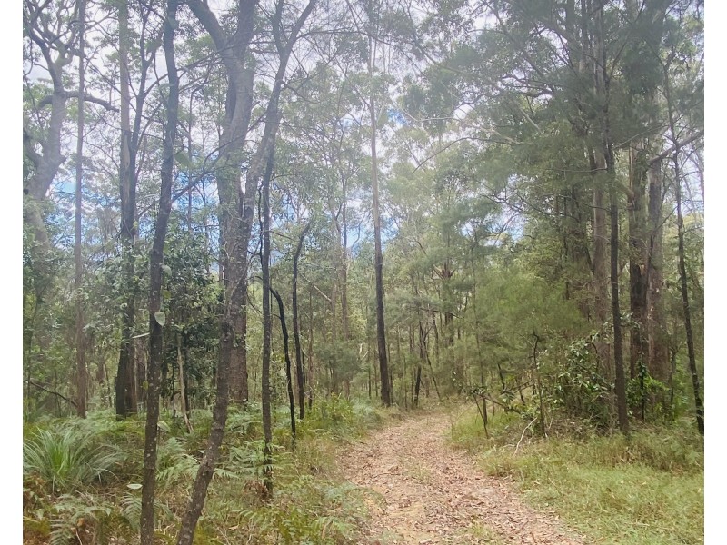 41 Kromes Road, North Arm QLD 4561