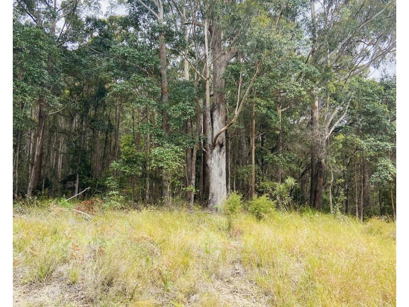 41 Kromes Road, North Arm QLD 4561