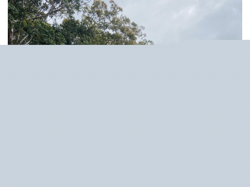 41 Kromes Road, North Arm QLD 4561