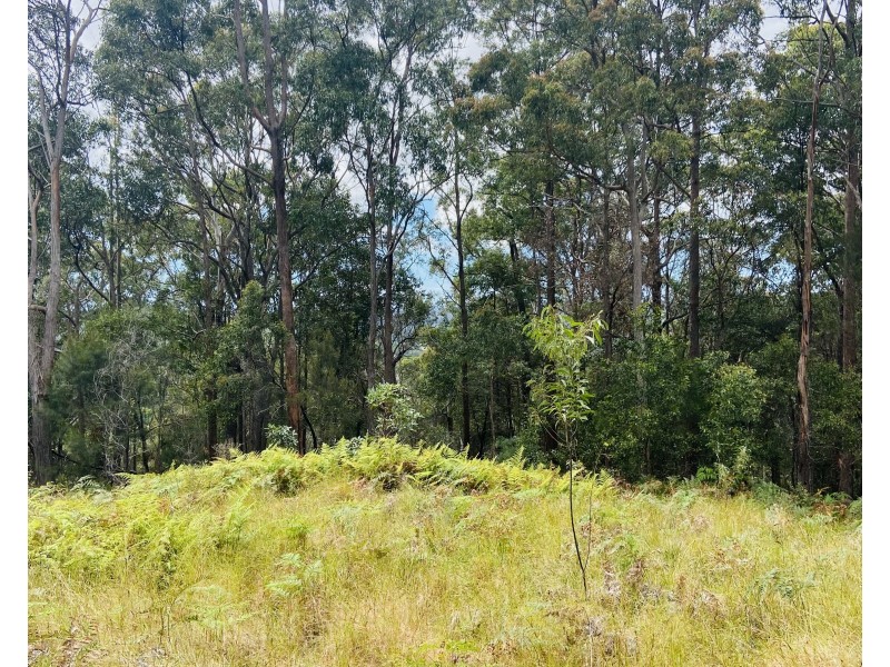 41 Kromes Road, North Arm QLD 4561