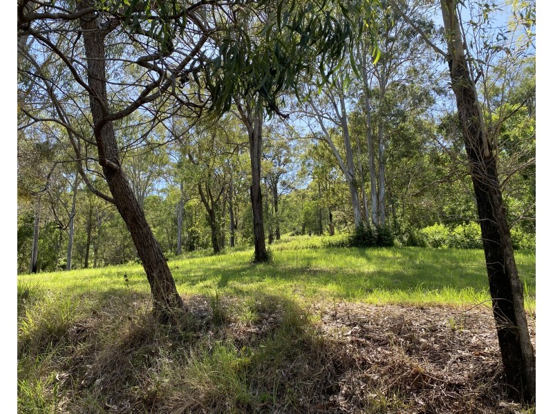 75-81 Buena Vista Drive, Logan Village QLD 4207