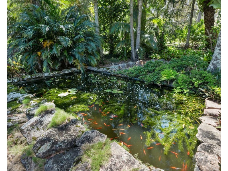 54-62 Andrews Court, Chambers Flat QLD 4133