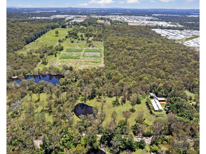 54-62 Andrews Court, Chambers Flat QLD 4133