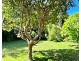 6 Tyagarah Street, Mullumbimby NSW 2482