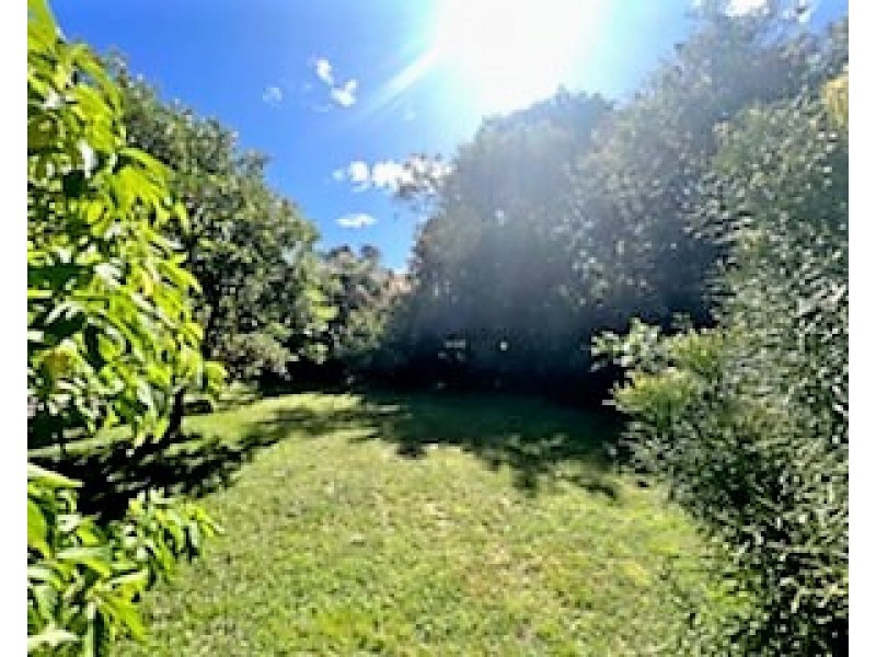 6 Tyagarah Street, Mullumbimby NSW 2482