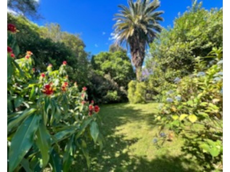 6 Tyagarah Street, Mullumbimby NSW 2482