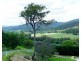 Wongawallan QLD 4210