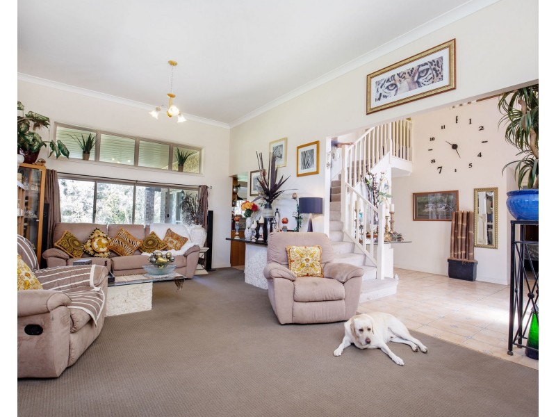 1 Cootharaba Drive, Helensvale QLD 4212